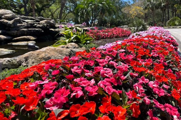 Screenshot 2026-01-23 140300