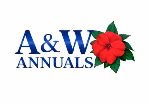 LOGO (1)
