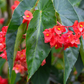 Screenshot 2026-01-13 094124