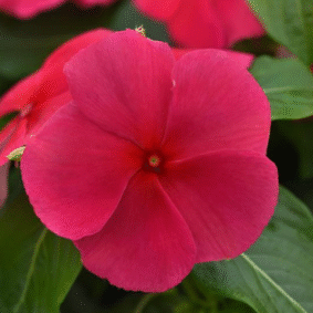 Screenshot 2026-01-13 124542