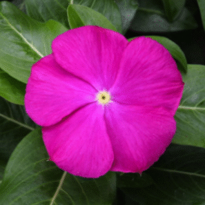 Screenshot 2026-01-13 124629