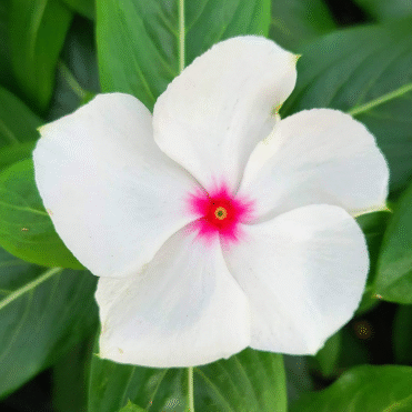 Screenshot 2026-01-13 125518